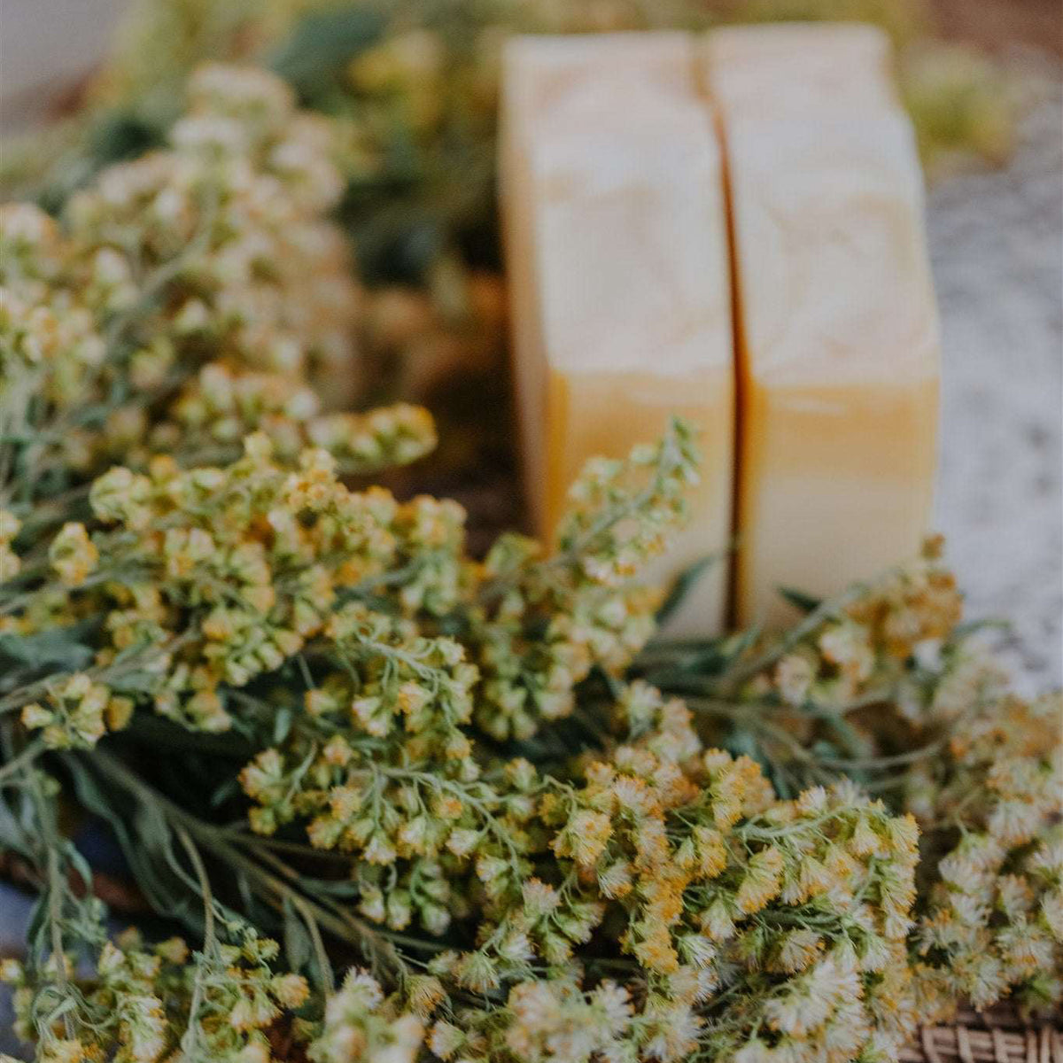 Goldenrod & Tallow Soap with Lemongrass, Lemon and Lavender