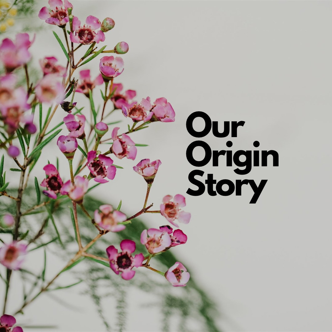 How We Got Our Start