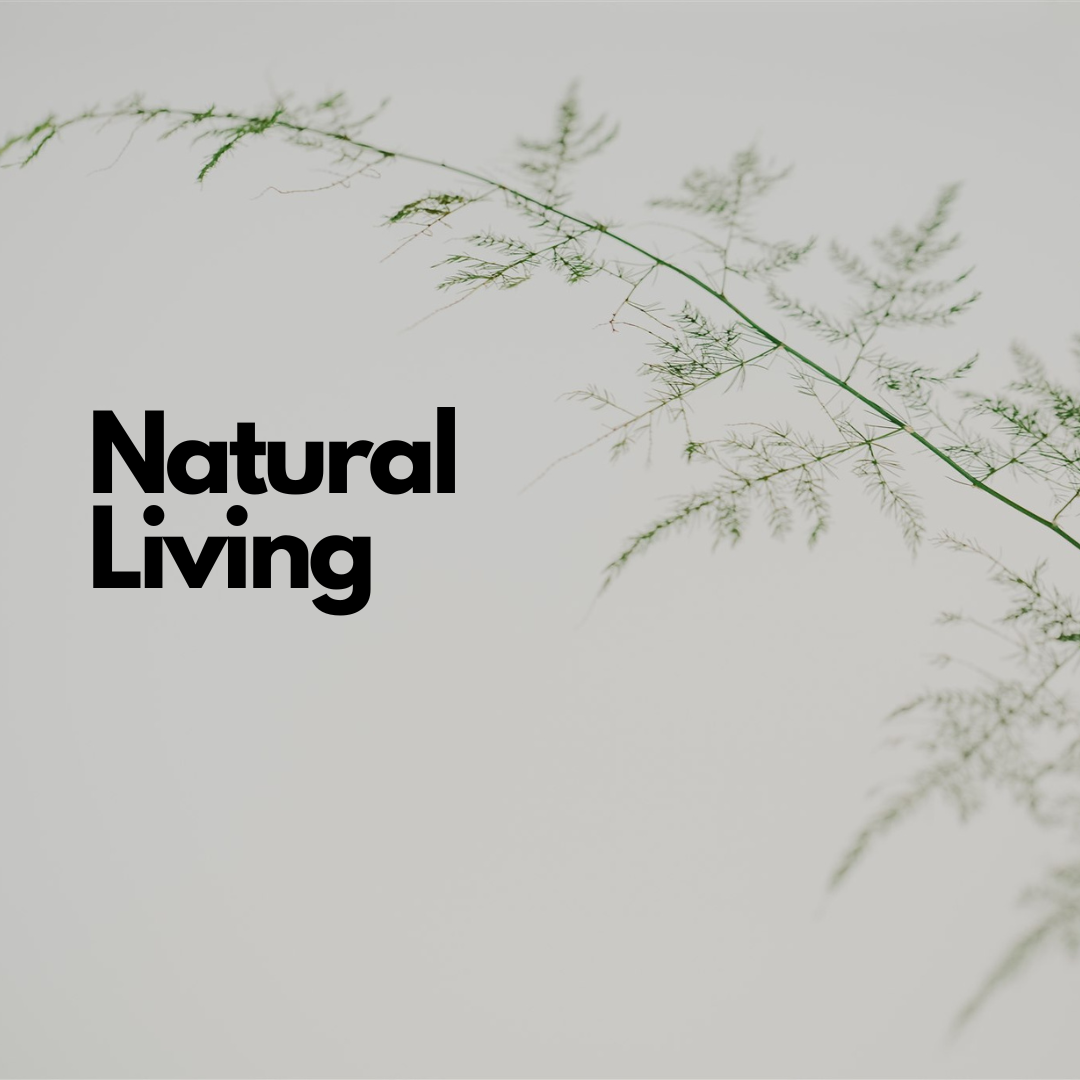 3 Ways How to Make a Natural Home