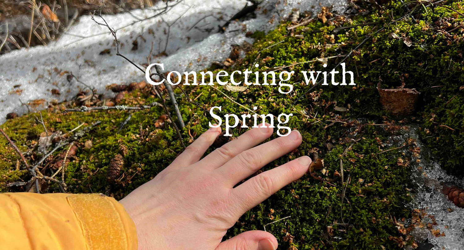 Connecting with Spring