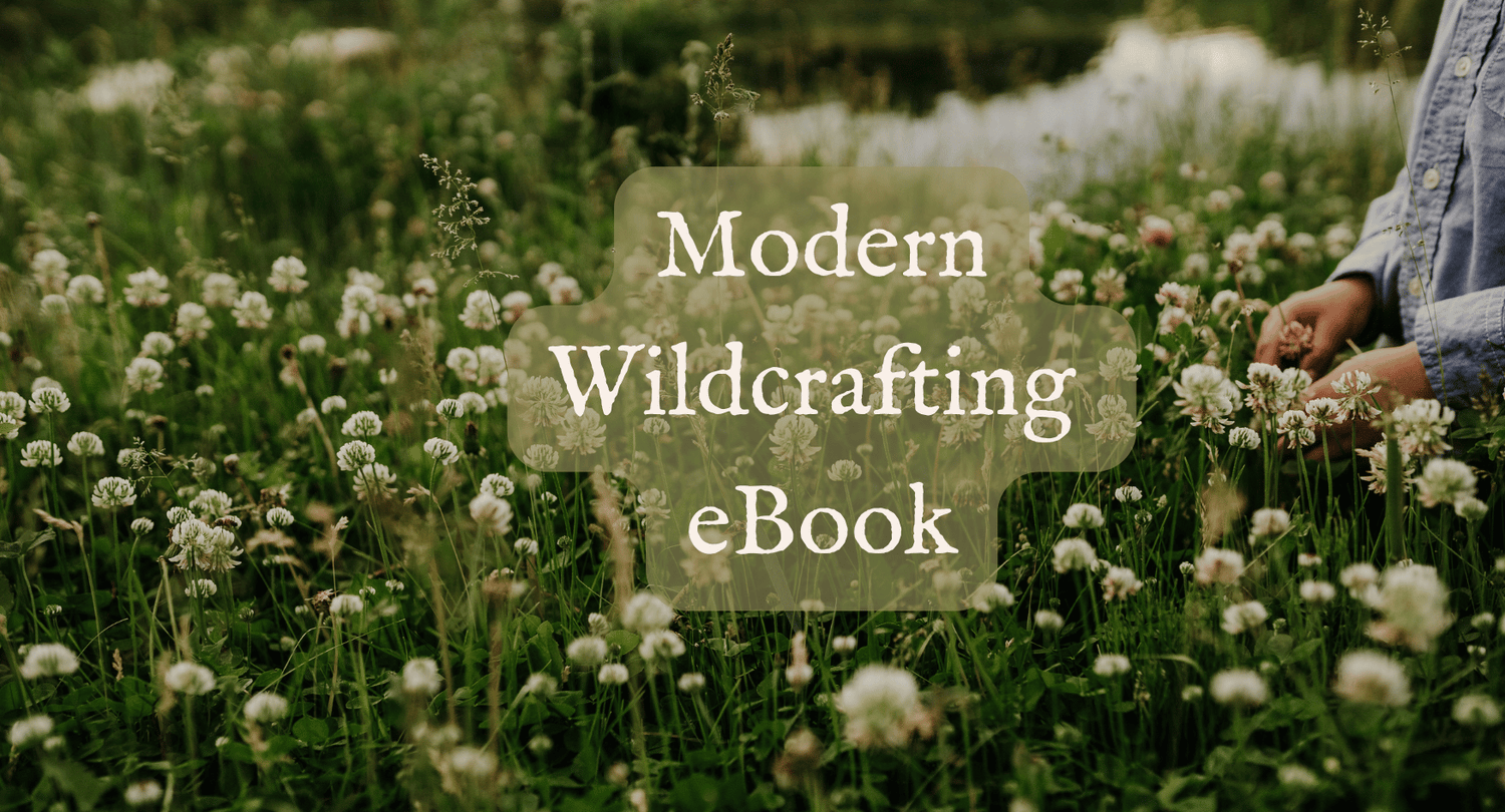 Modern Wildcrafting eBook
