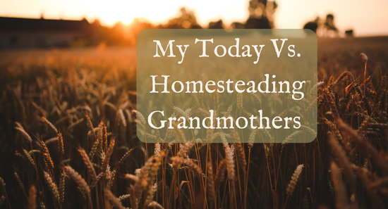 My Today Vs. Homesteading Grandmothers