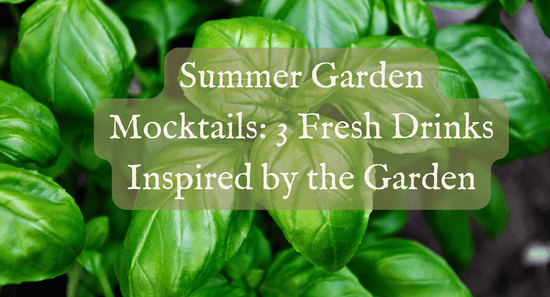 Summer Garden Mocktails: 3 Fresh Drinks Inspired by the Garden
