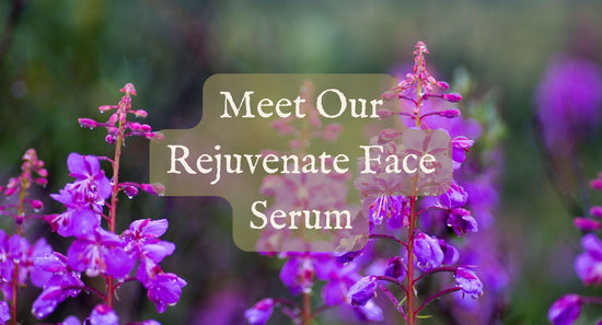 Meet Our Rejuvenate Face Serum