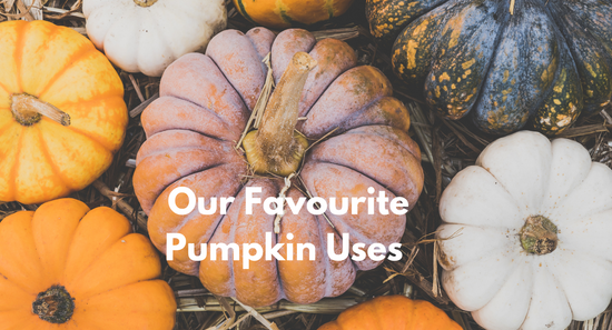 Our Favourite Pumpkin Uses