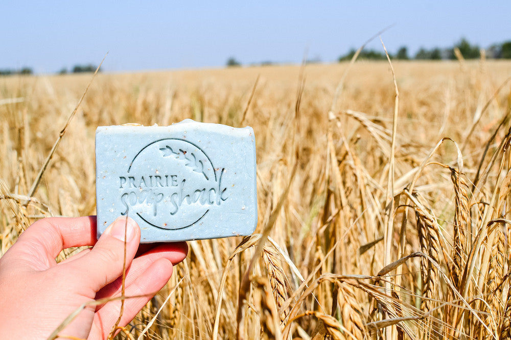 Inspiration Behind our Fall Soap Collection