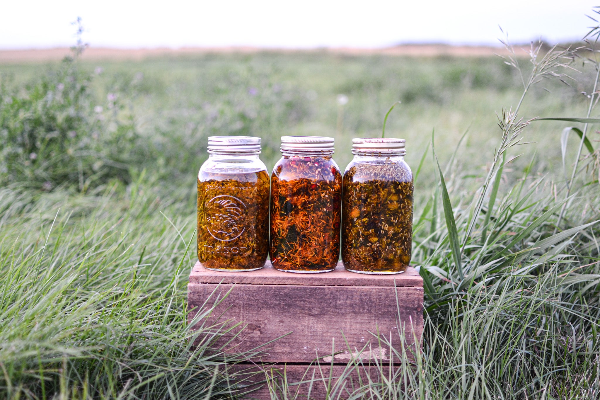 Herbal Oil Infusions