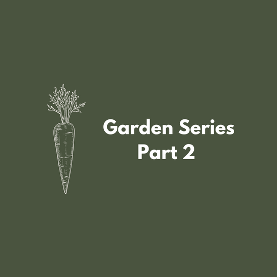 Garden Series - Part 2 Prairie Seeding and Planting Methods