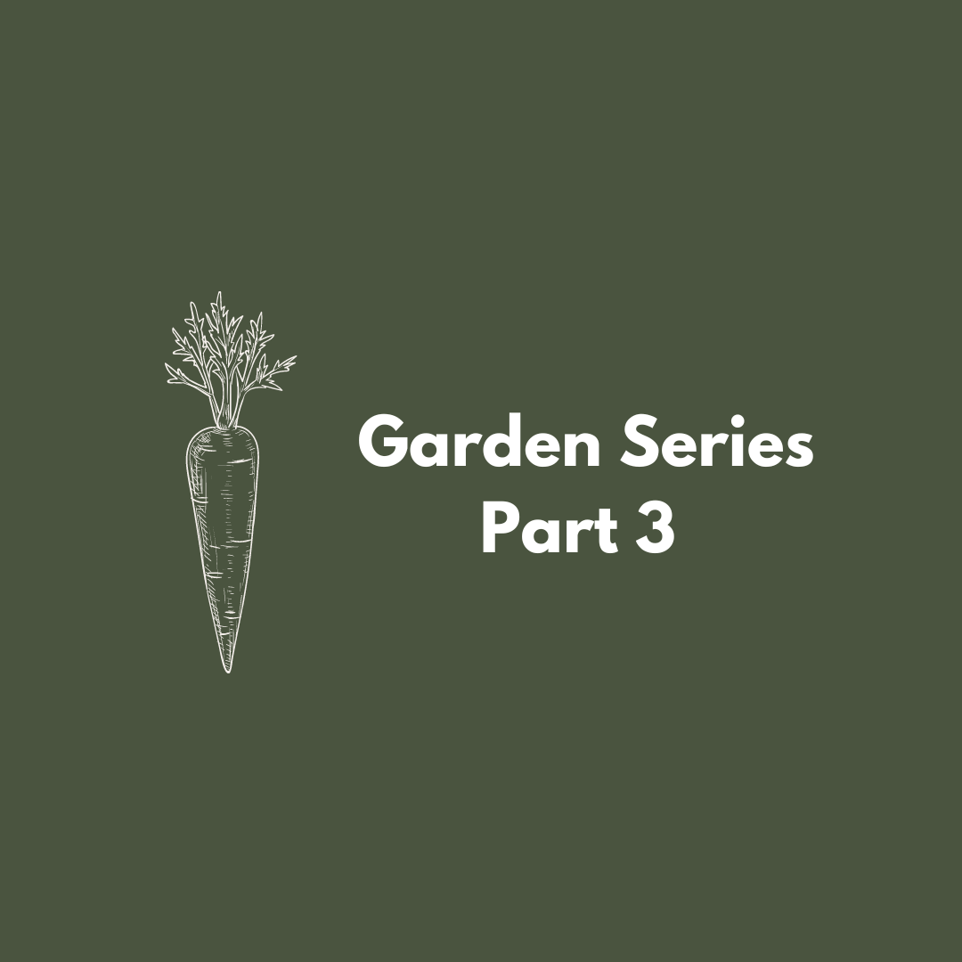 Garden Series - Part 3 Tending To Your Garden & Harvesting