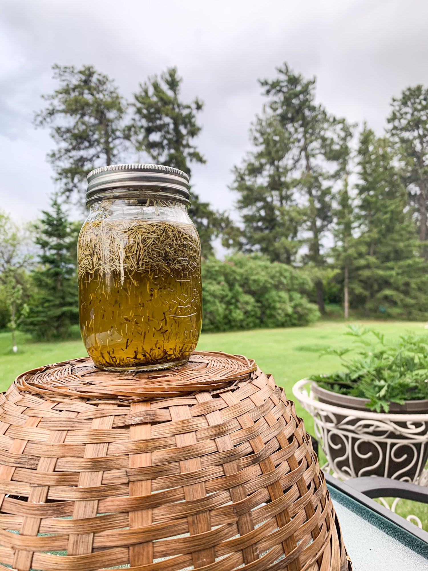 How to Make Rosemary Olive Oil for Summer Salads