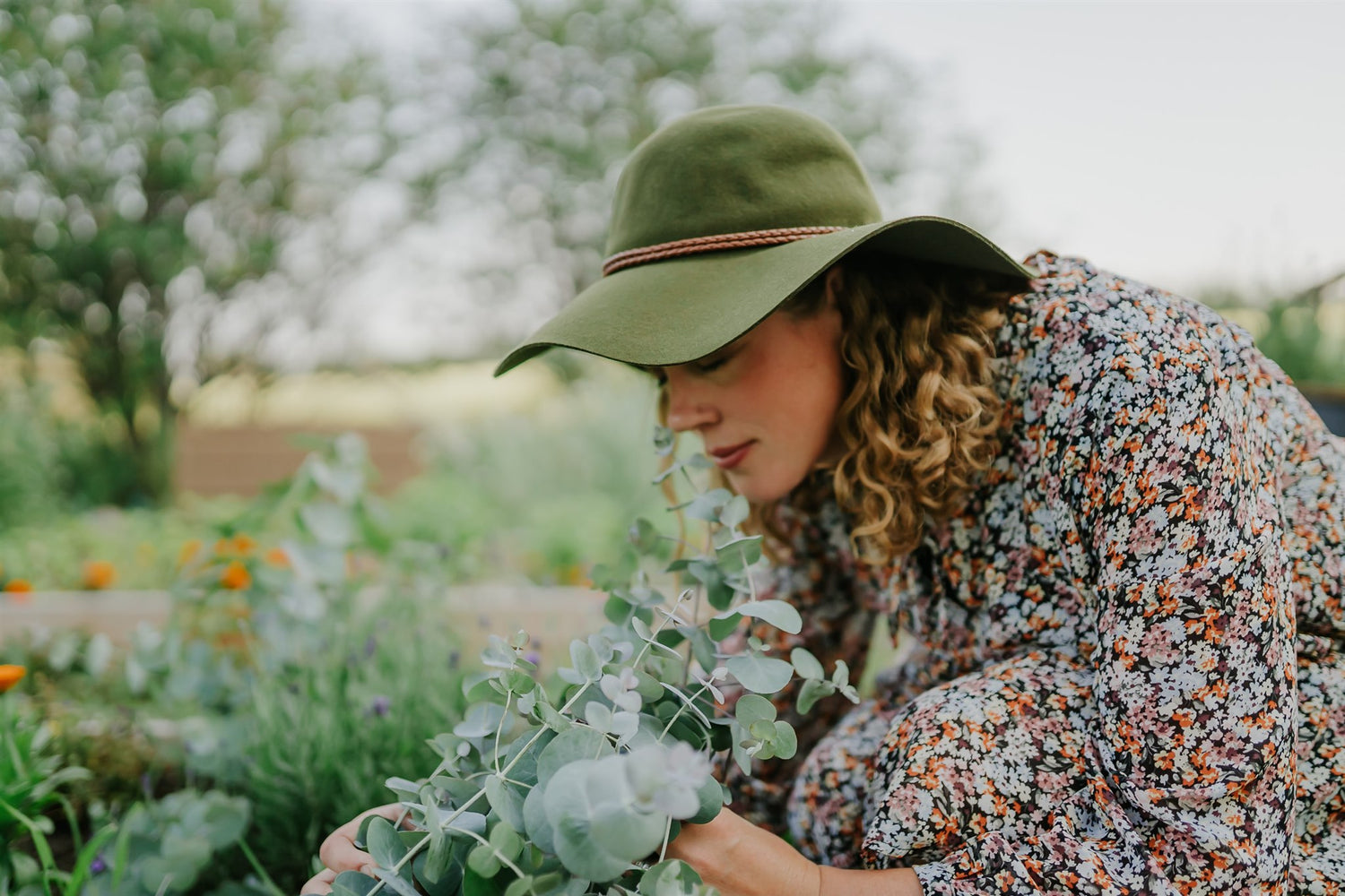 Dreaming of my Garden