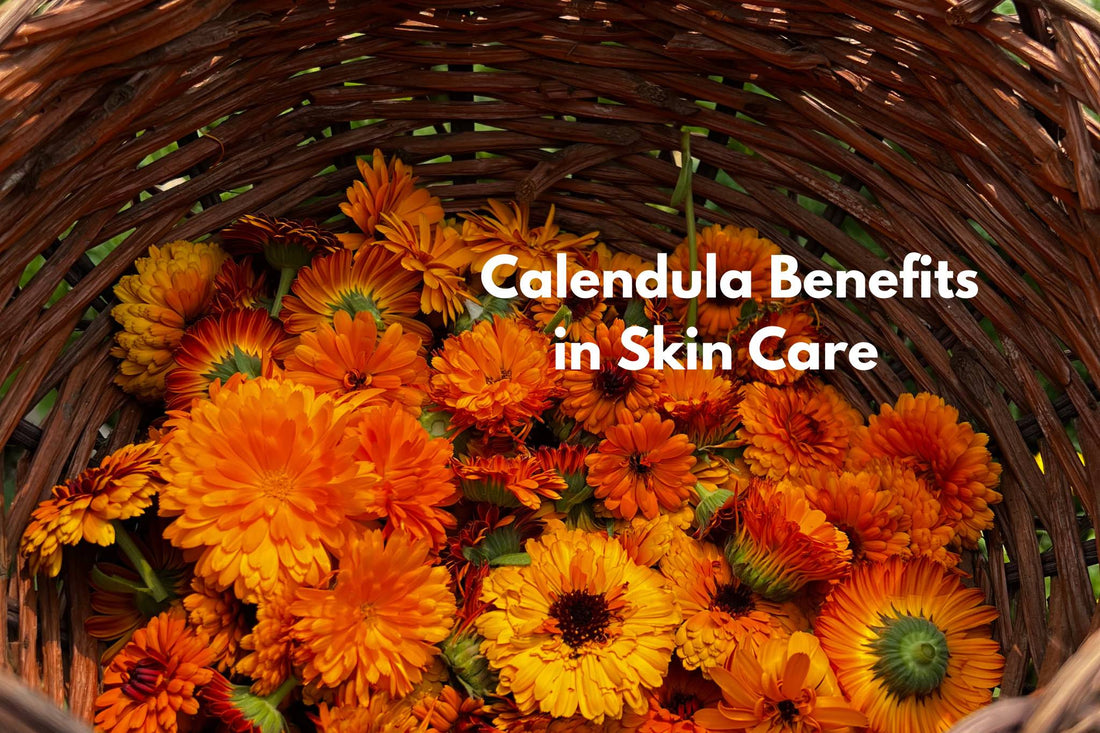 Calendula Benefits for Skin: Unlocking the Power of Natural Skin Care Ingredients