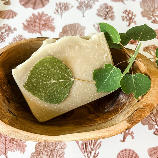 Poplar Leaf Soap with Palo Santo - Available 06/07