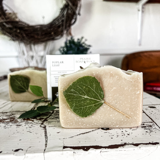 Poplar Leaf Soap with Palo Santo - Available 06/07