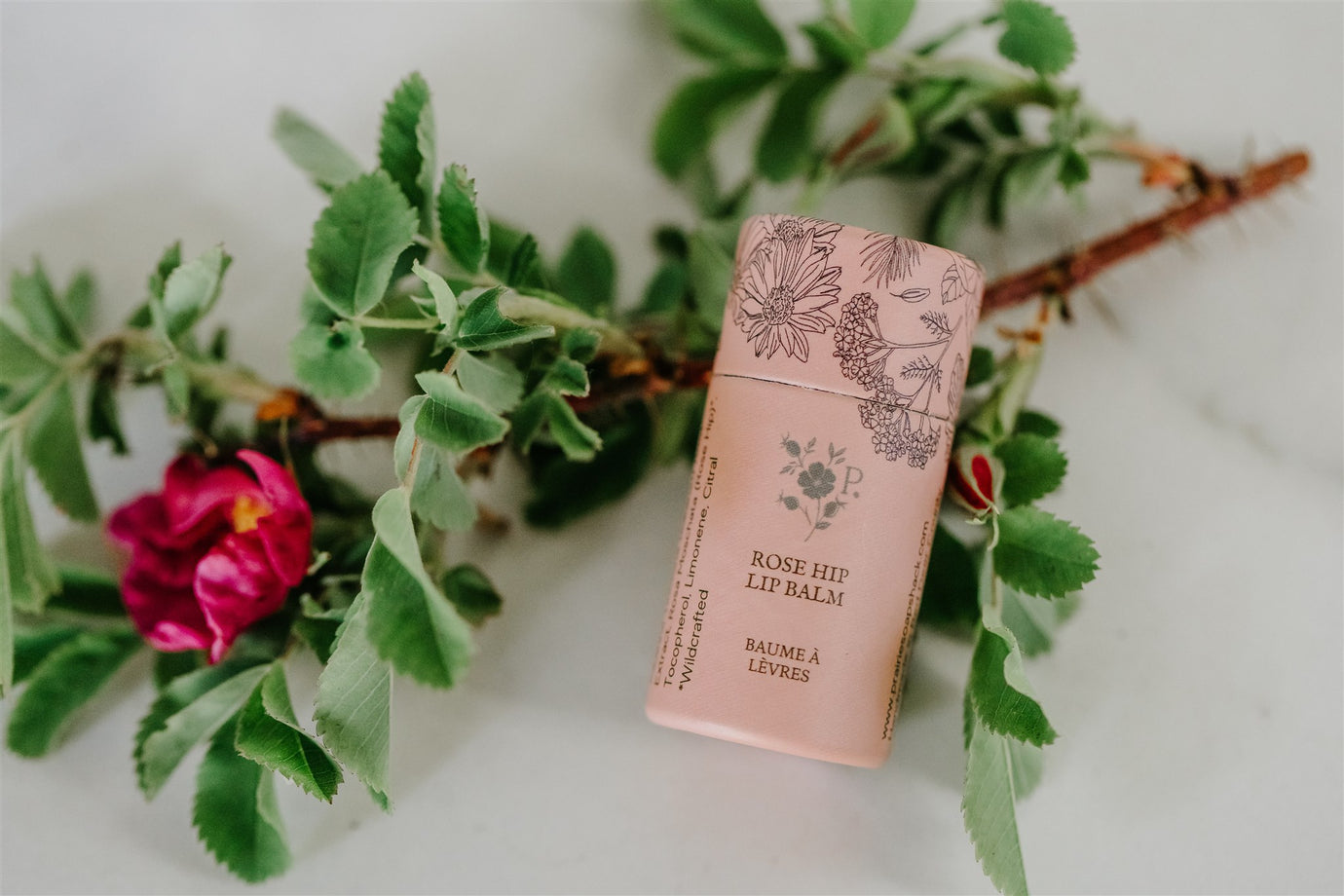 Rose Hip Lip Balm - Best Seller