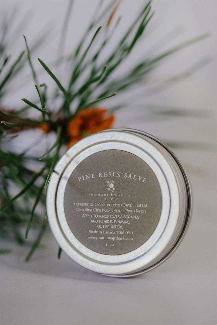 Pine Resin Salve -First Aid Kit for your Skin
