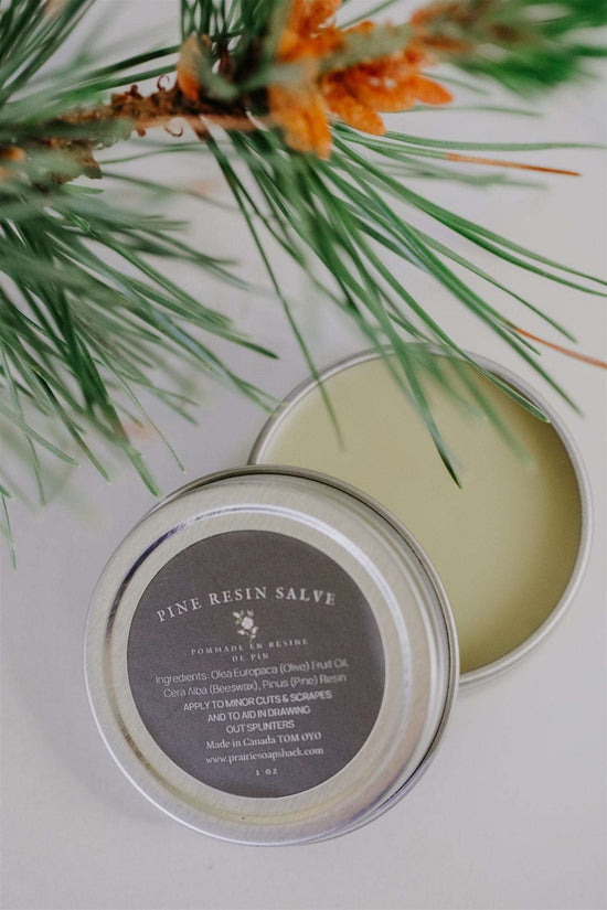 Pine Resin Salve -First Aid Kit for your Skin