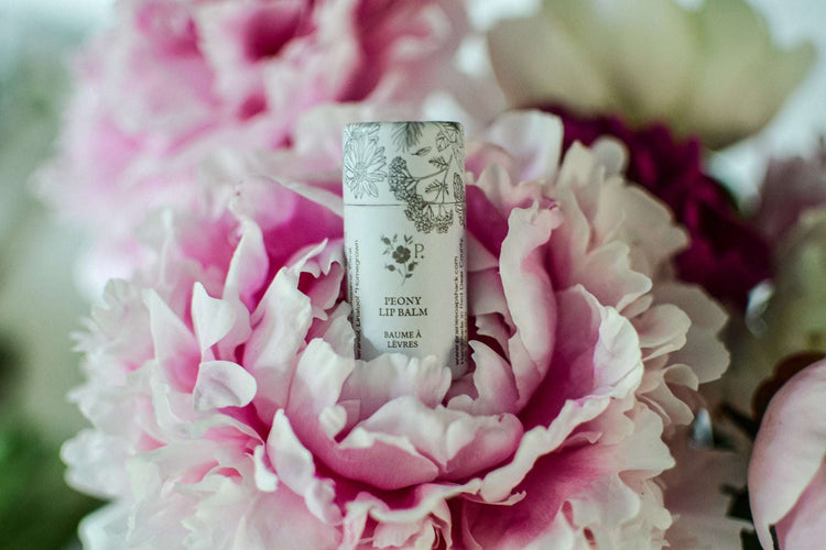 Peony Lip Balm - Infused with Heirloom Peony Petals