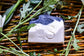 Sweet Chickadee Soap with Fresh Pine Needle Tea