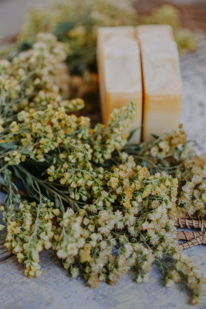 Goldenrod &amp; Tallow Soap with Lemongrass, Lemon and Lavender