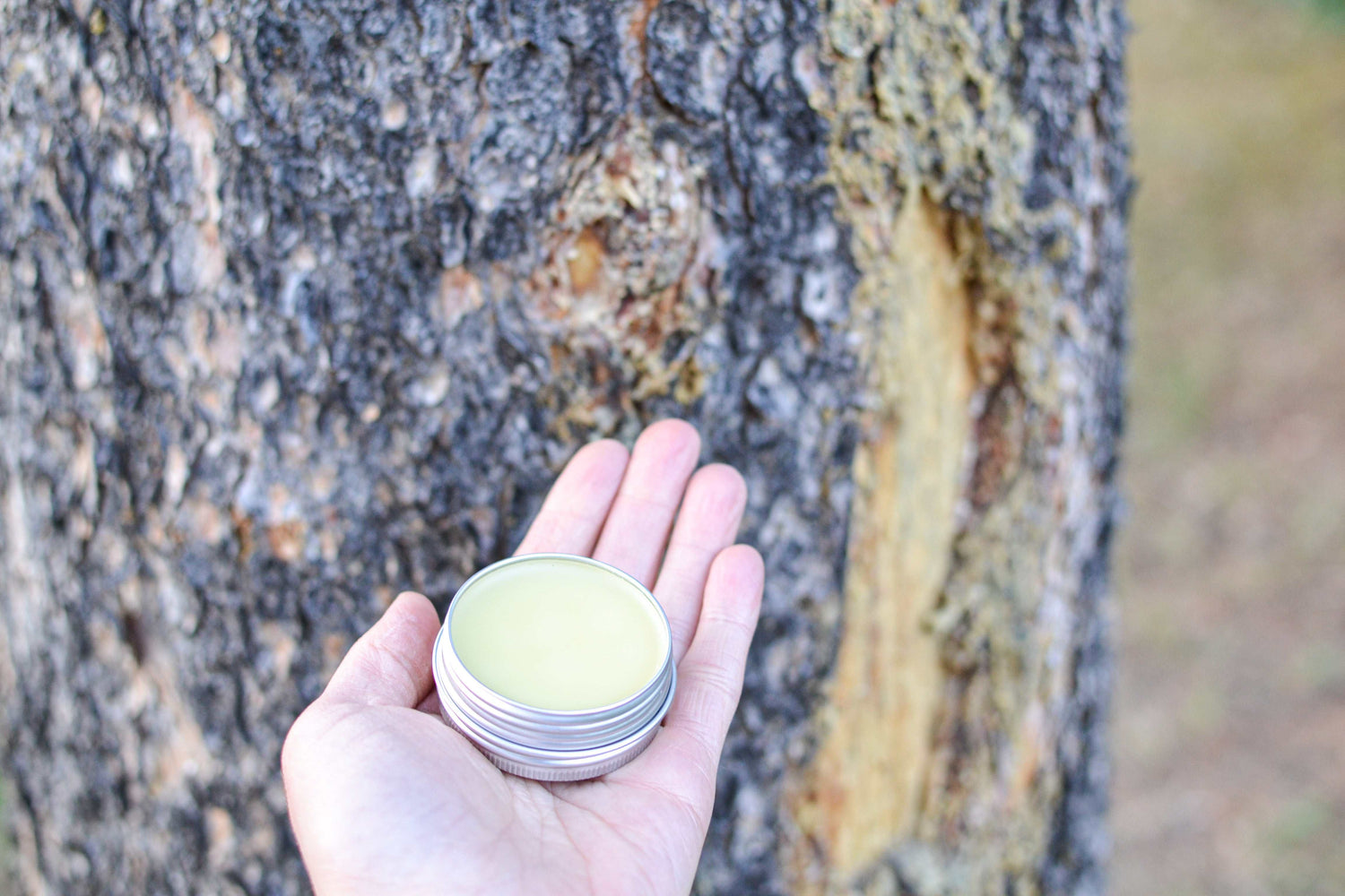 Pine Resin Salve -First Aid Kit for your Skin