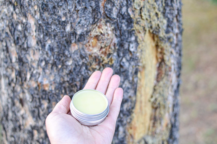Pine Resin Salve -First Aid Kit for your Skin