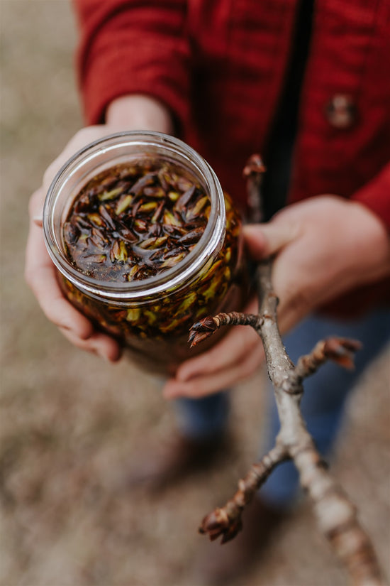 Balm of Gilead *Balsam Poplar Bud Infused, Small-Batch*