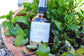 After Sun Body Spray *Soothing with Aloe*