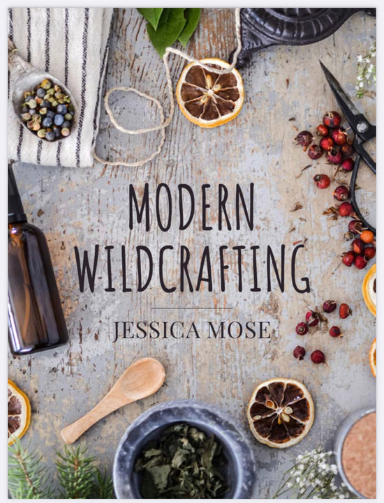 Modern Wildcrafting eBook