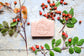 Wild Rose Hip Soap *Luxurious + Moisturizing*